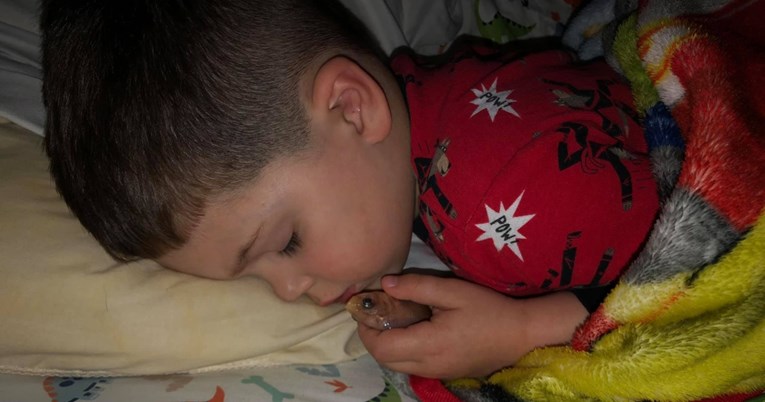 Dječak legao u krevet sa zlatnom ribicom, a sada je neutješan jer ju je ubio