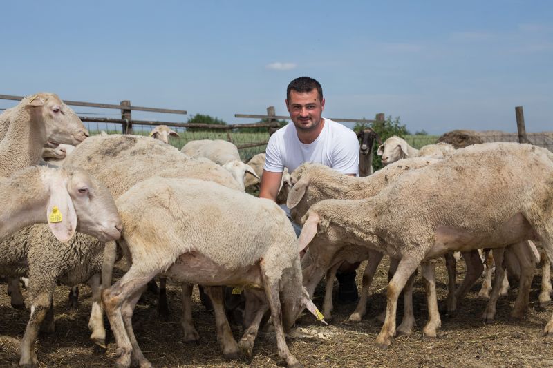 Hoće li nadmašiti Jovicu i Nikolinu? Ovo su kandidati nove sezone Ljubav je na selu