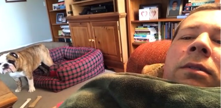 Pas je presmiješno reagirao nakon što mu je vlasnik zabranio ležanje na kauču