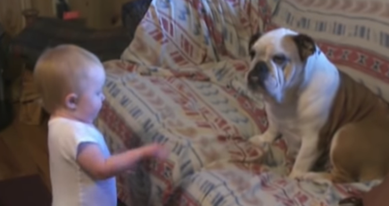 Smiješna beba odlučila psu objasniti neke stvari, a on pozorno sluša