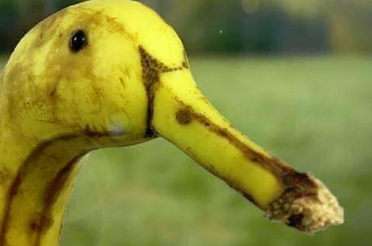 27 fotografija koje prikazuju koliko nas oči lako prevare, što vidite na njima?