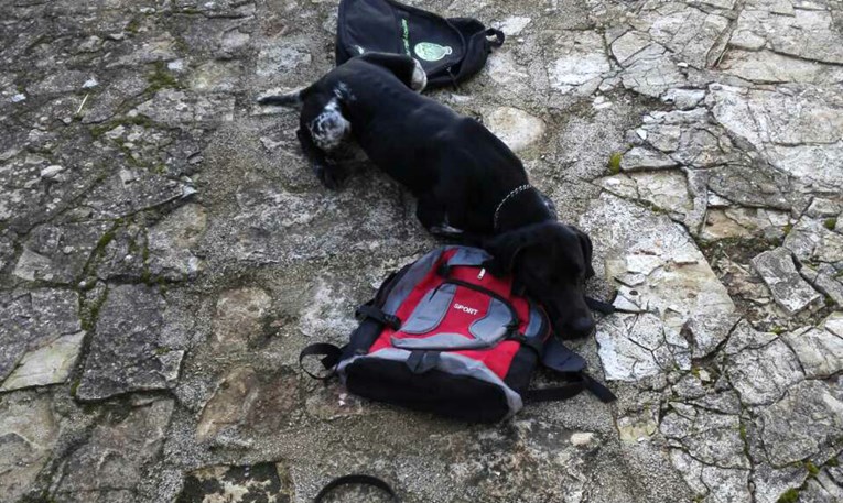 Pas otkrio kilu heroina u Puli. Diler je s drogom u ruksaku šetao po kolodvoru