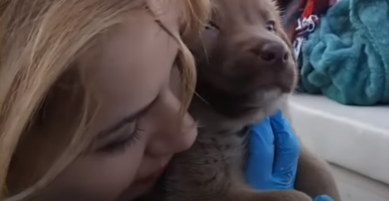 Na napuštene pse daje zadnji novac, a zli ljudi uništavaju kućice koje im gradi
