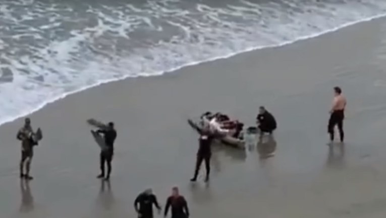 Morski pas napao dječaka u Kaliforniji