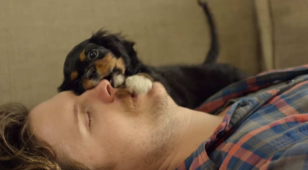 Slatki video koji prikazuje koliko štene može promijeniti i uljepšati vaš život