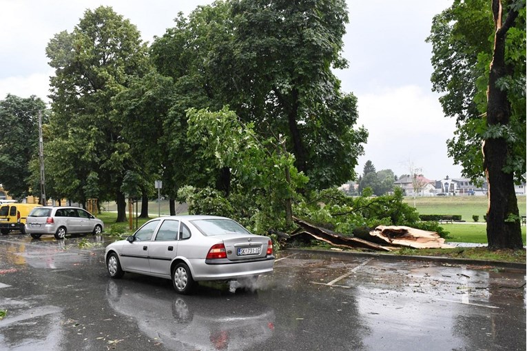 Kaos u Sisku nakon jakog nevremena: Ceste pod vodom, iščupani stoljetni kesteni