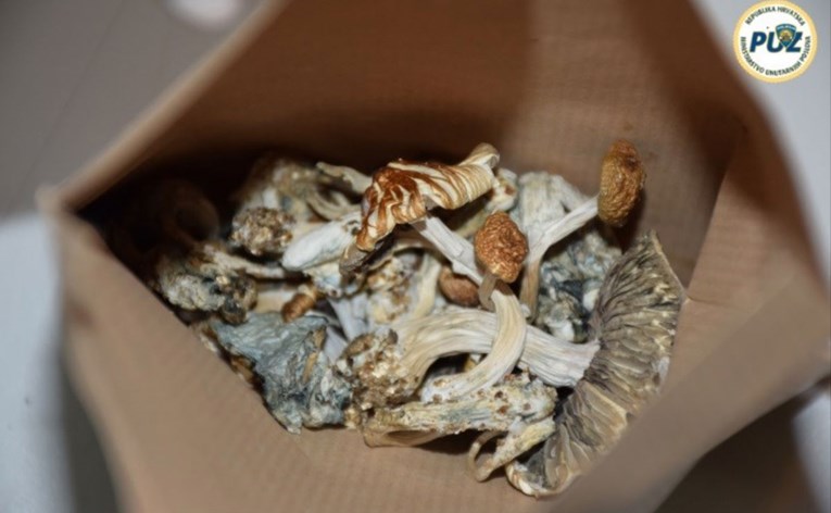 Policija Zagrepčaninu zaplijenila lude gljive i zmije otrovnice