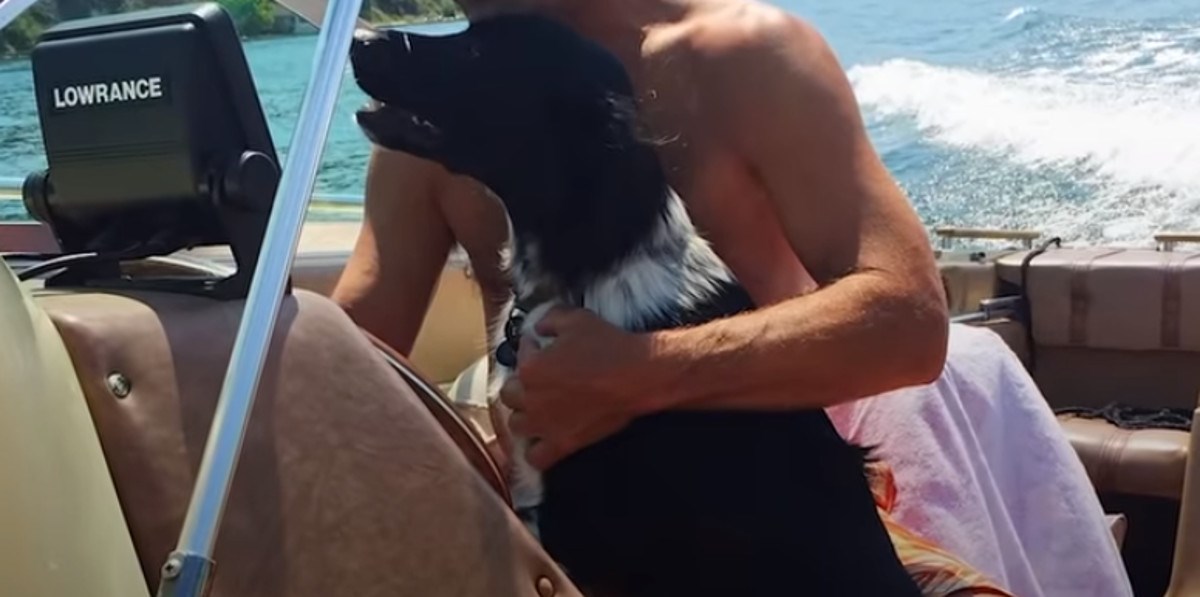 VIDEO Pas zaljubljen u skakanje i vodu zadivit će vas svojom energijom