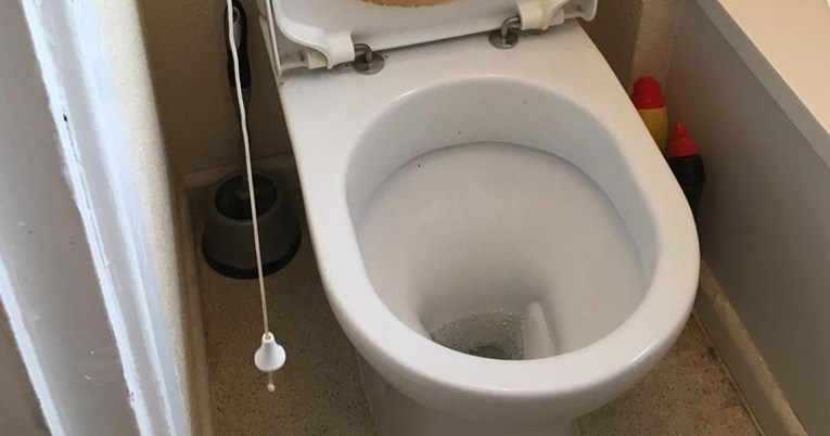 Sjeo je na WC školjku, a onda je dobio strašne ugrize i 15 šavova na penisu
