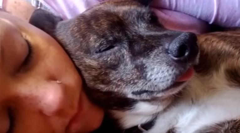Znanstvenici dokazali da žene čvršće spavaju kraj pasa nego kraj svojih partnera