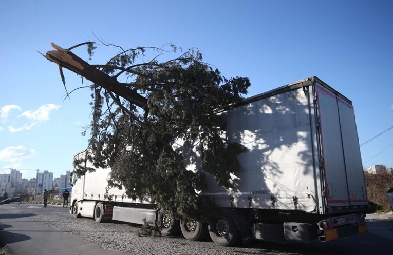 FOTO Olujna bura u Splitu srušila bor na šleper u vožnji