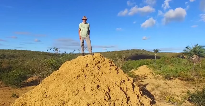 U Brazilu pronađeni 4000 godina stari termitnjaci, pokrivaju površinu Britanije