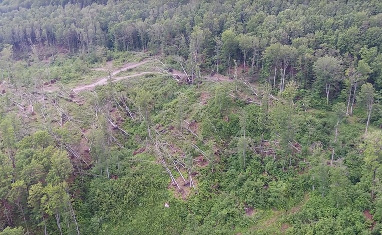 Vjetar na Medvednici srušio 30 tisuća stabala, pogledajte dramatične snimke