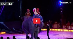 Slon iz cirkusa pao na publiku u Njemačkoj