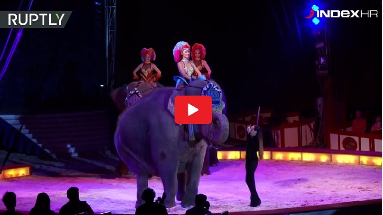 Slon iz cirkusa pao na publiku u Njemačkoj