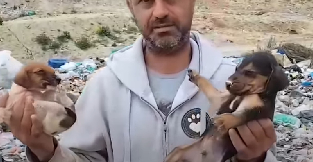Imao je noćni klub i trošio puno, a onda je prodao sve zbog napuštenih životinja