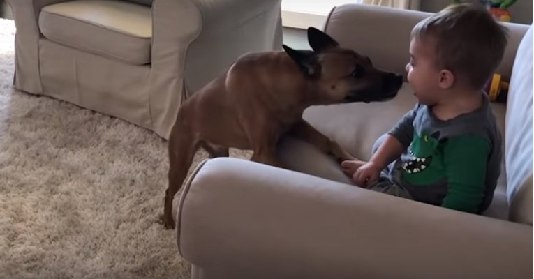 Tata snimio predivnu scenu između psića i dječaka koji se ne prestaje smijati