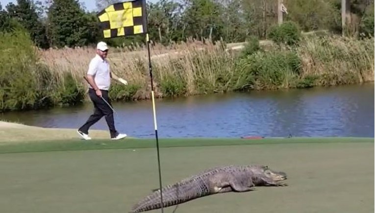 Mirno igrao golf pa snimio scenu koja je prestravila mnoge: "Vidi koliki je"
