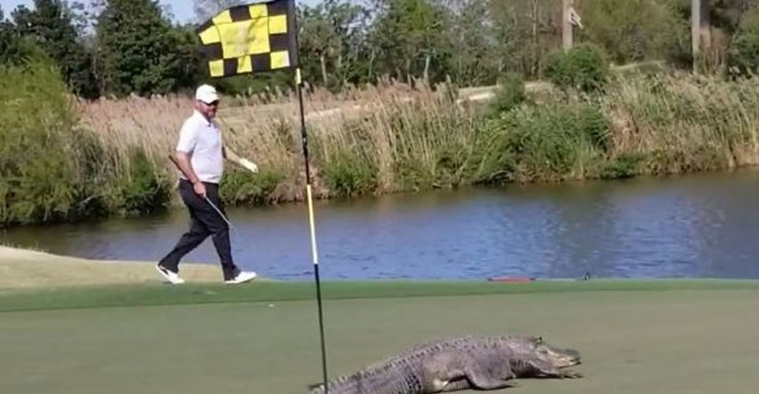 Mirno igrao golf pa snimio scenu koja je prestravila mnoge: "Vidi koliki je"