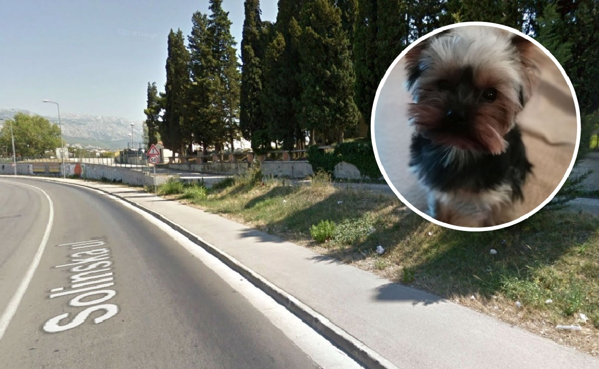 Splićanki psa zaklao drugi pas, kaže da je njegov gazda samo pobjegao