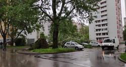 FOTO U zagrebačkom Sopotu ogromno stablo poklopilo nekoliko automobila