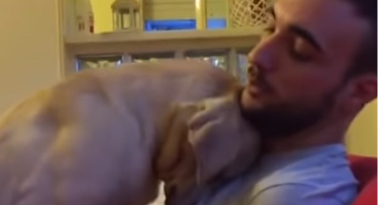 VIDEO Posramljeni pas priznao krivnju i sada traži oprost