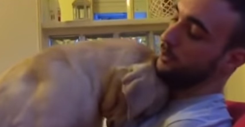 VIDEO Posramljeni pas priznao krivnju i sada traži oprosti