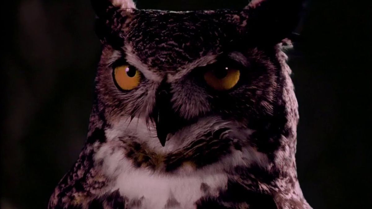 Suluda teorija mogla bi riješiti slučaj ubojstva star 17 godina