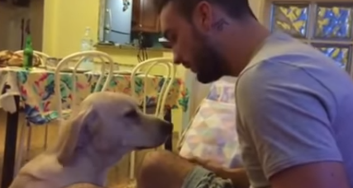 Tko mu ne bi oprostio? Pas se ispričao vlasniku na najslađi način