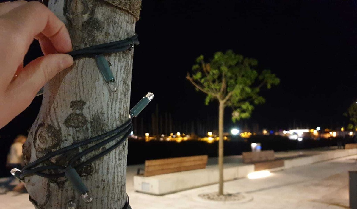 Splitsko stanje uma: Na stablima u centru usred lipnja stoje božićni ukrasi