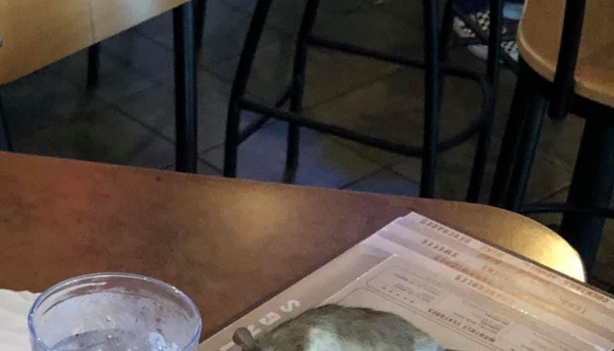 Zgrozila se kad je vidjela što joj je palo na stol u restoranu: "Odvratno"