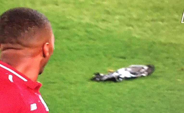 VIDEO Ovako je "mrtav golub" zaprepastio igrača Liverpoola