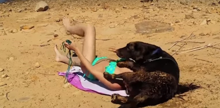 Pokušala se sunčati, a njezin je pas to odlučio spriječiti na presmiješan način