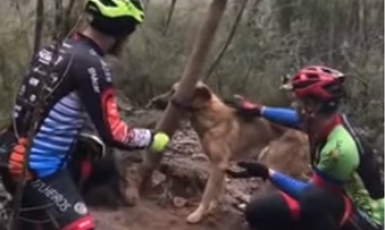 Vezali psa za drvo i pustili ga da umre u mukama, biciklisti mu spasili život