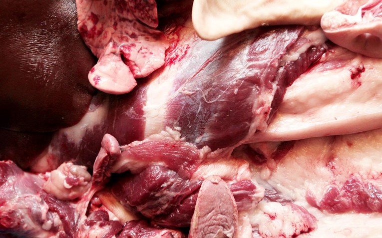 U Srbiji uhićena skupina ljudi, preprodavali su pokvareno meso iz Brazila