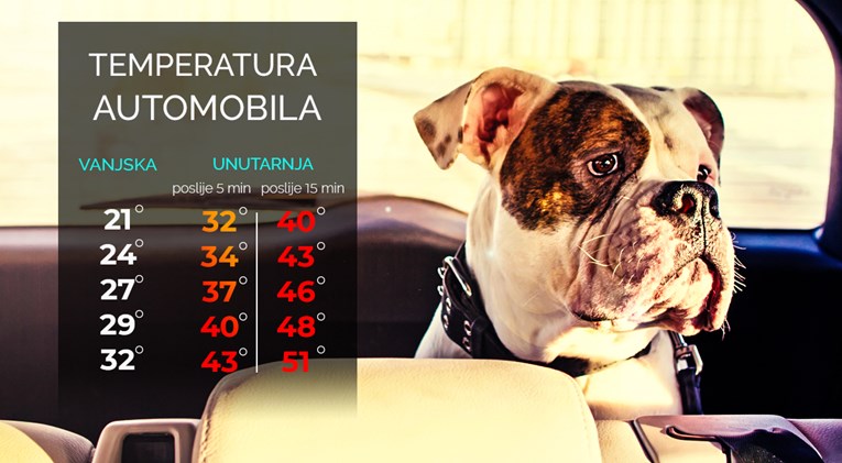 VIDEO Znate li koliko je vašem psu vruće kad ga ostavite u autu?