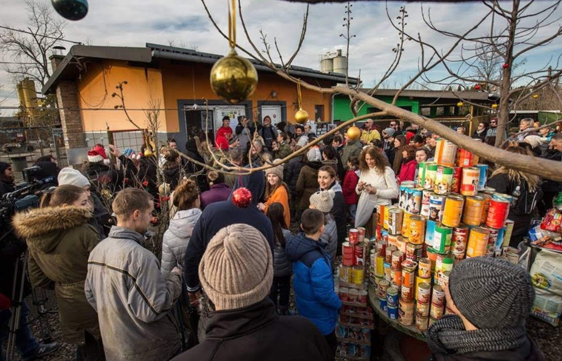 Osječki azil za blagdane hrani gladne pse, a možeš im pomoći i ti