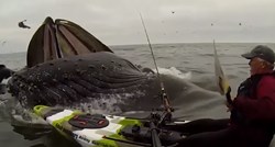 Bliski susret s kitom: Ovaj kajakaš doživio je nešto što se rijetko viđa