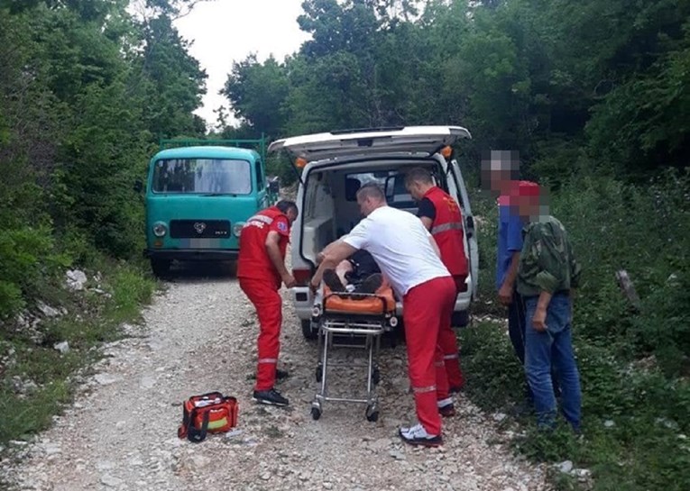 Ženu u Trebinju prvo ugrizla riđovka, a onda je nagazila na poskoka