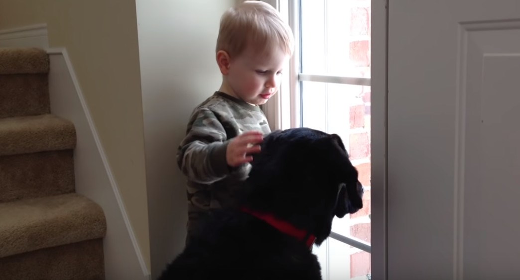 Ovaj je pas patio za svojim vlasnicima, a dječak ga tješio na presladak način