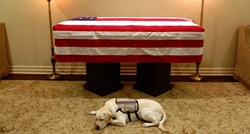 "Misija završena": Dirljiva fotografija labradora rasplakala Amerikance