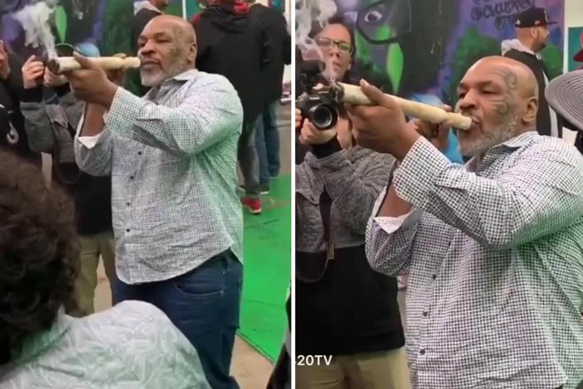 Mike Tyson zapalio divovski džoint na festivalu marihuane u Kaliforniji