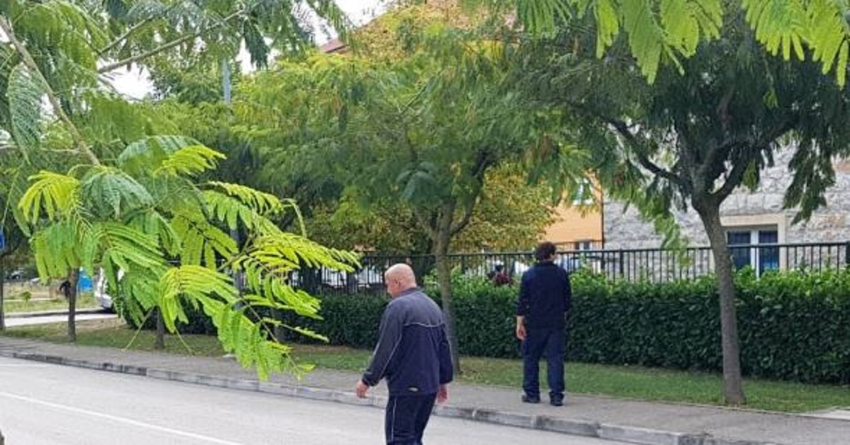 Sinjane iznenadio prizor na cesti: "Nevjerojatno što sve ovdje može proći"