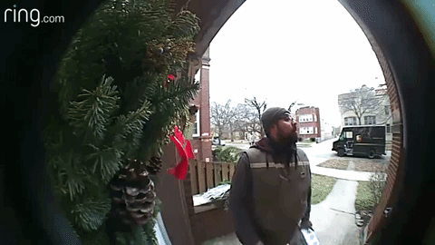 Poštaru skočila vjeverica na rame ispred ulaza, njegova reakcija postala hit