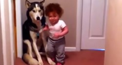 VIDEO Curica se uplašila usisivača i otrčala u zagrljaj svom psu