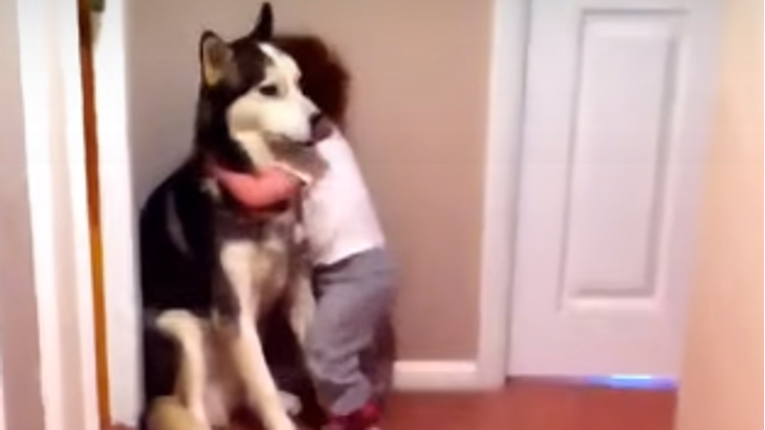 Djevojčica se preplašila usisivača pa otrčala do svog psa da je zaštiti