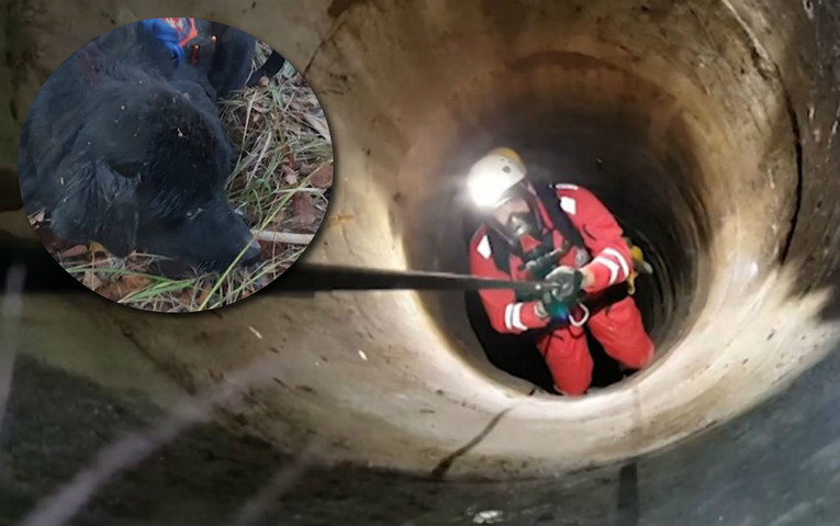 HGSS-ovci spasili psa kojeg je netko bacio u bunar