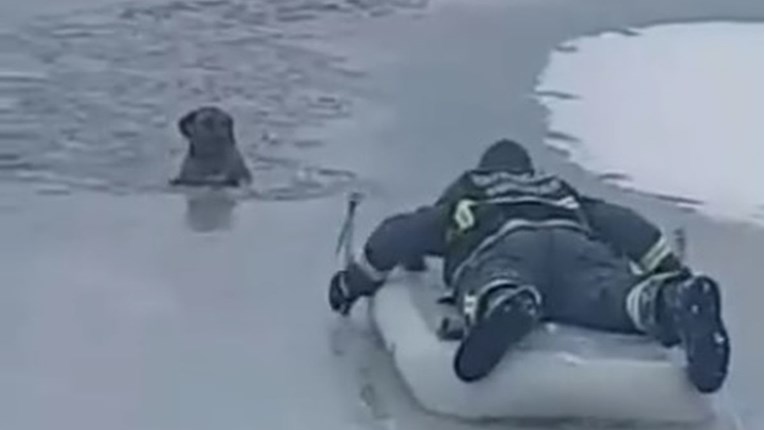 Hrabri vukovarski vatrogasac riskirao život da iz zaleđene rijeke spasi psa