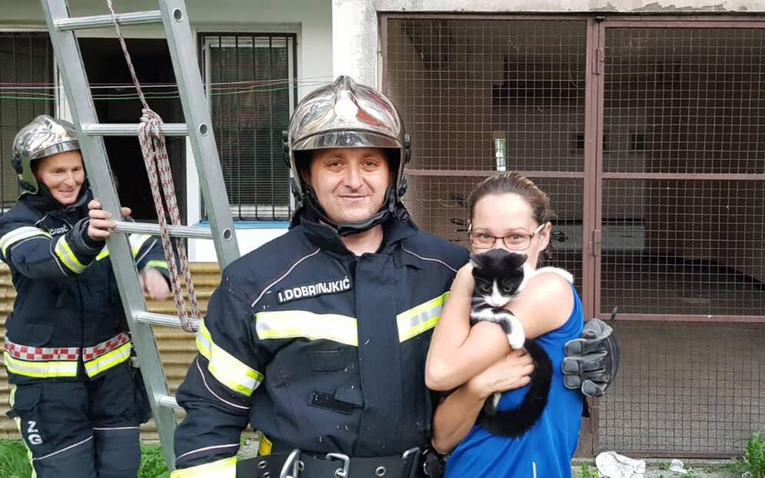 ZAGREB Vatrogasci spasili nestašnu macu koja se popela na visoki bor