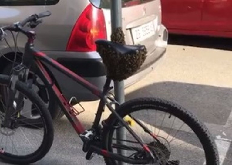 Sjedalo bicikla u centru Zagreba preplavile pčele, nakon snimke vam neće biti svejedno